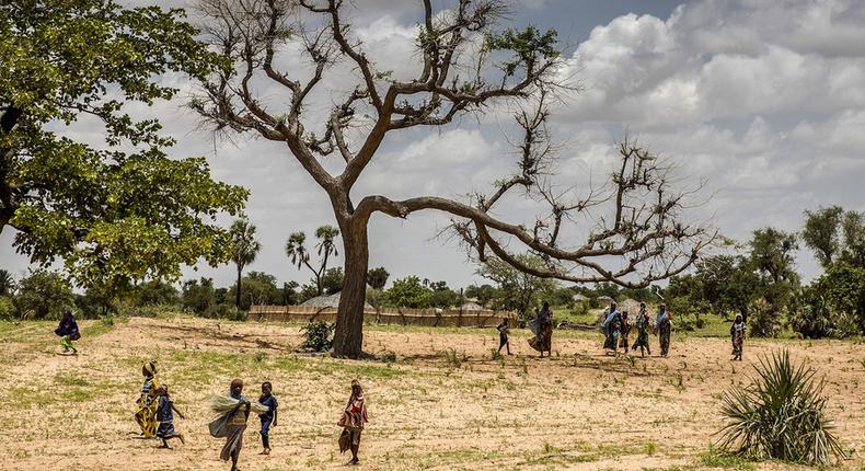 Jusqu'à 65% des terres productives en Afrique sont dégradées