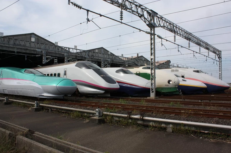 Pociągi Shinkansen z wielu różnych serii powstałych na przestrzeni lat