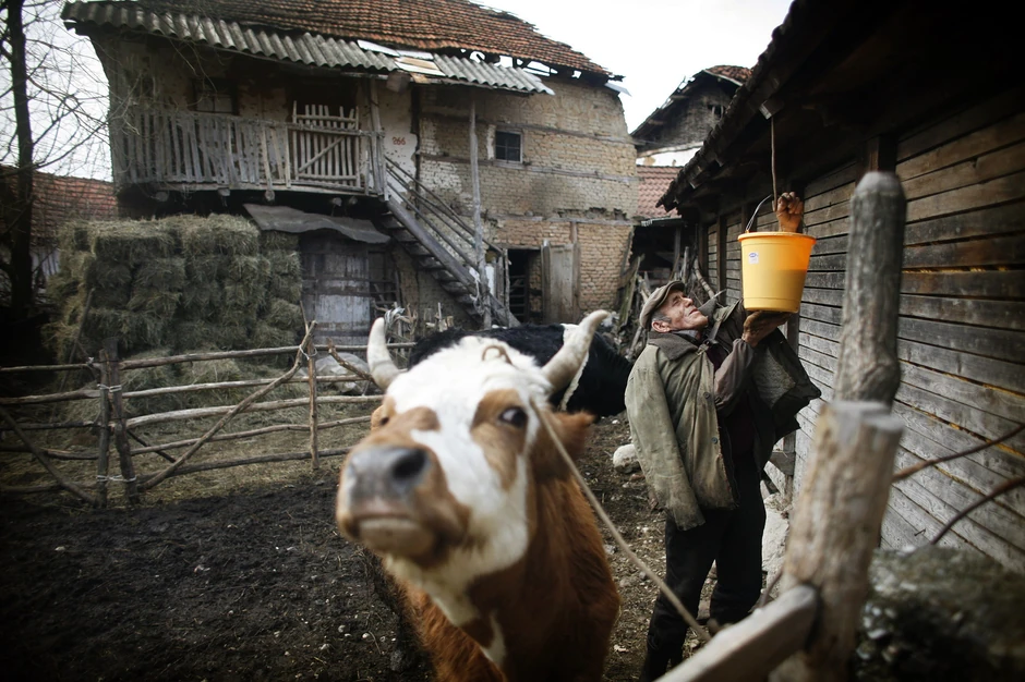 Opstanak: Oni koji su ostali preživljavaju uglavnom od poljoprivrede