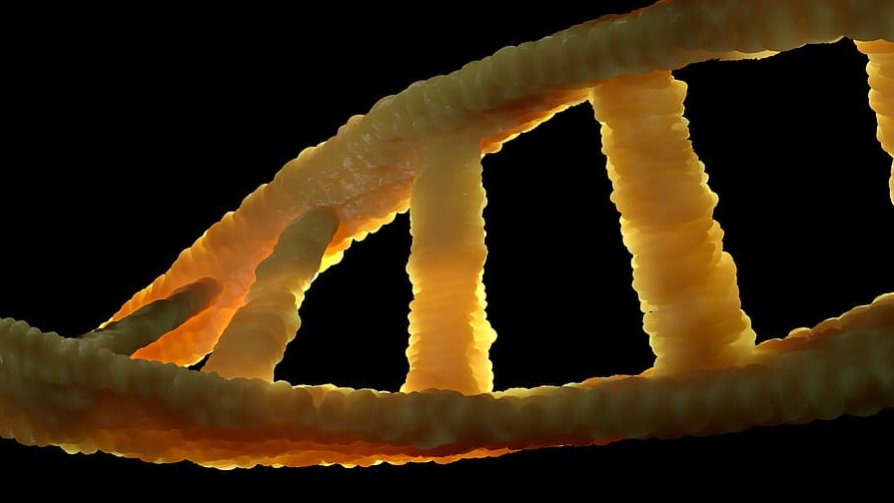 Ludzkie DNA jest wszędzie i działa jak niewidzialny odcisk palca. Rodzi to poważny problem, fot. PxFuel/ CC0