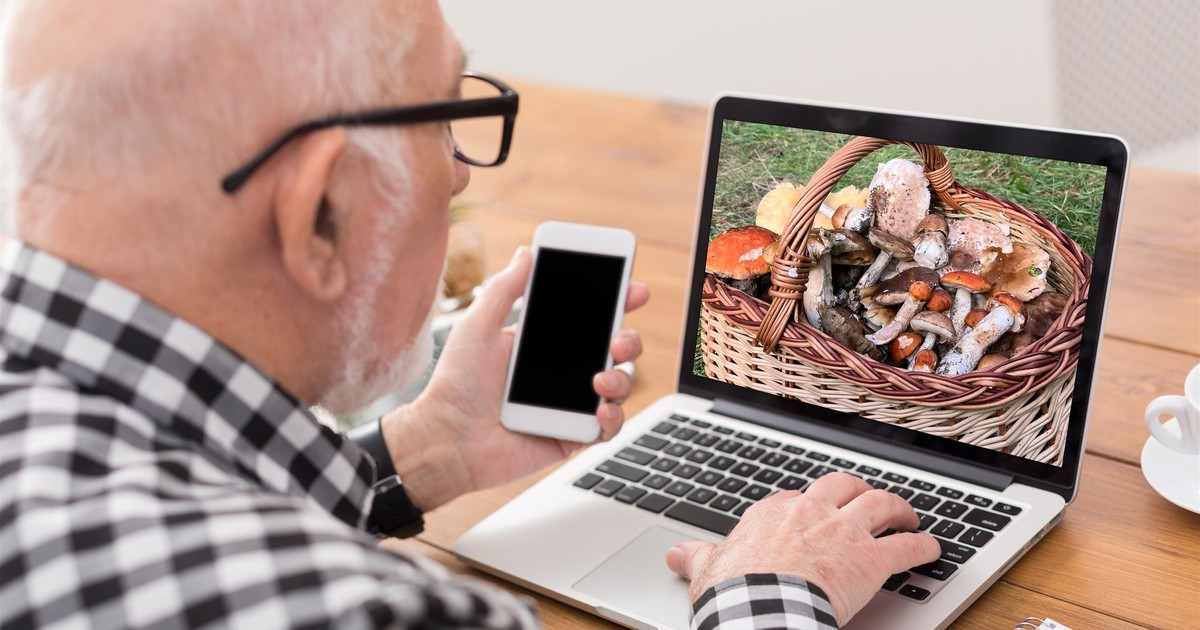 Grzybiarze płacą za te informacje, niektórzy posuwają się do oszustwa. "Za doniesienie nagroda"
