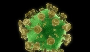 HIV virus