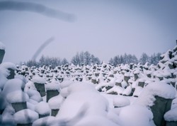 Wzmożone ruchy wojska przy granicy z Rosją. Polska odgradza się potężną zaporą