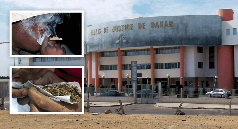 Palais-de-justice-de-Dakar,-chanvre-indien