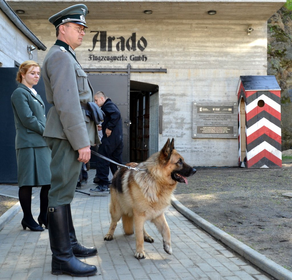 Kamienna Góra, Arado