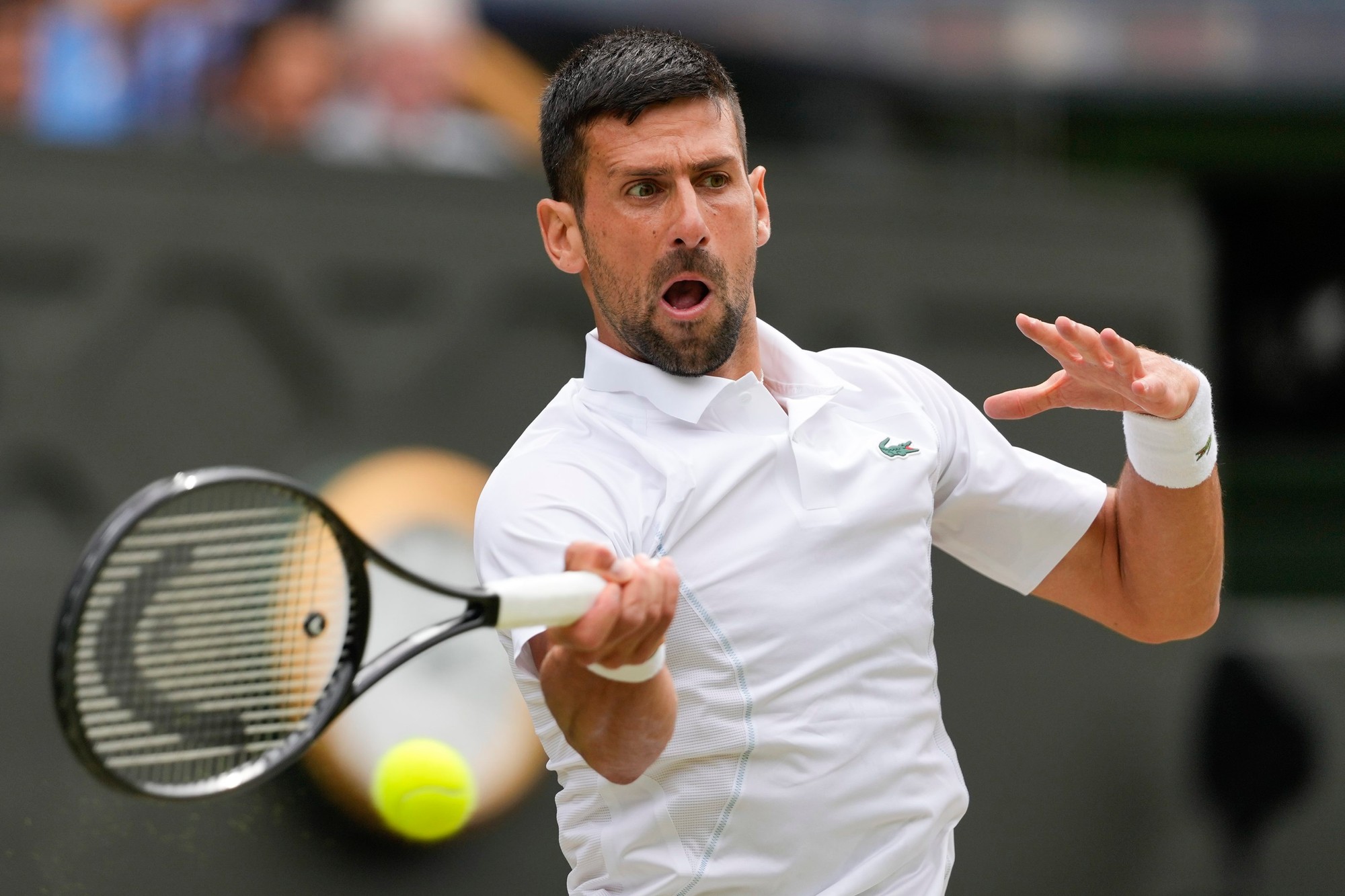 Srbský tenista Novak Djokovič počas finále Wimbledonu 2024.