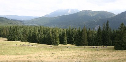 Uwaga na te tatrzańskie szlaki. W weekend pielgrzymi sparaliżują ruch