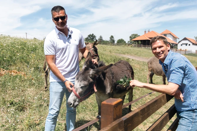 Mladen i Frank