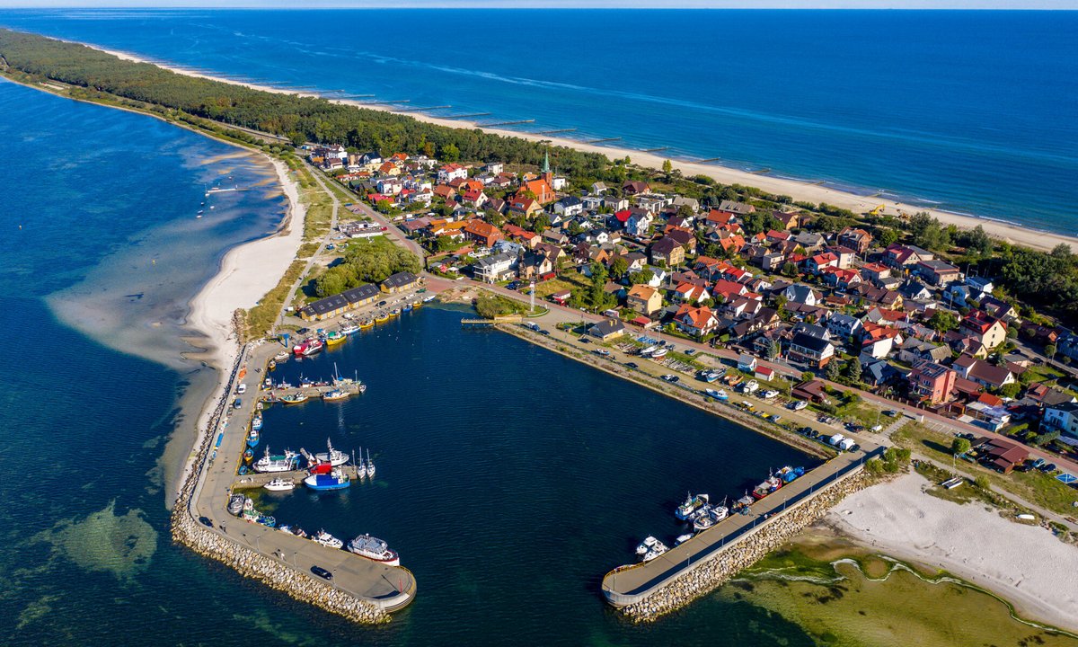 Nawet 600 drzew do wycinki na Helu. Mieszkańcy protestują, powstała petycja