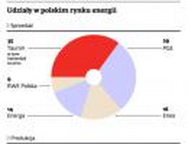 Udziały w Polskim rynku energii