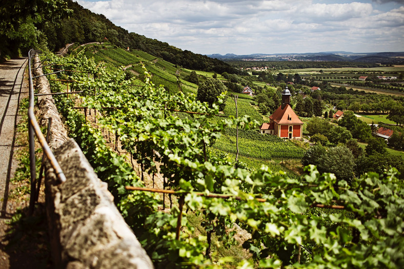 Drezno-Pillnitz, winnica, region winiarski Saksonia