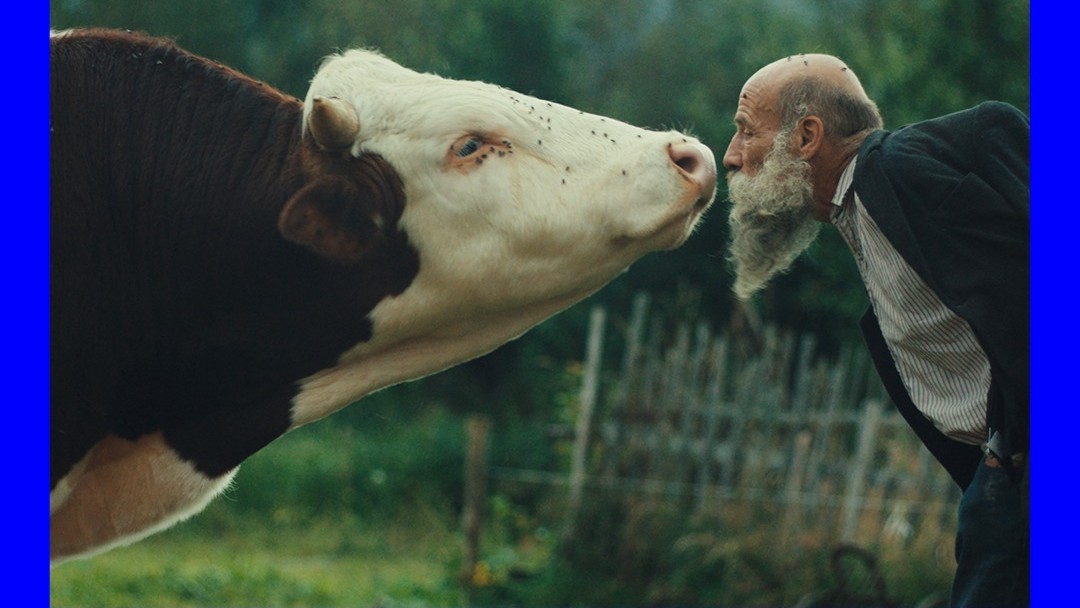Film Raději zešílet v divočině získal Veľkú cenu krištáľový glóbus na filmovom festivale v Karlových Varoch