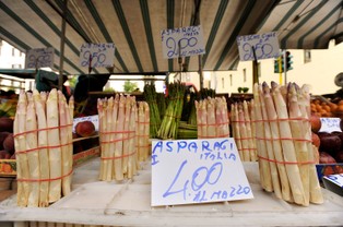 Wysokie ceny szparagów. W Niemczech brak pracowników sezonowych - pomogą Gruzini