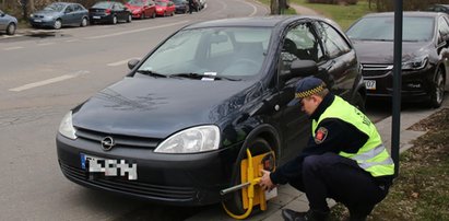 Drogówka wystawia mandaty na zebrach