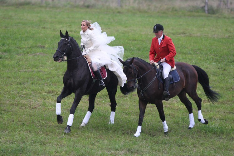 Panna młoda przygalopowała na karym koniu...