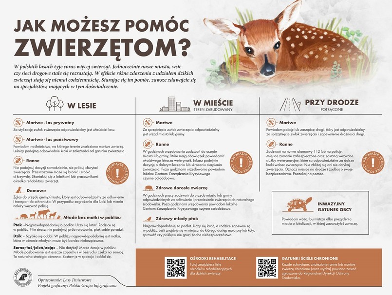 jak można pomagać dzikim zwierzętom