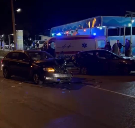 Udes na Košutnjaku