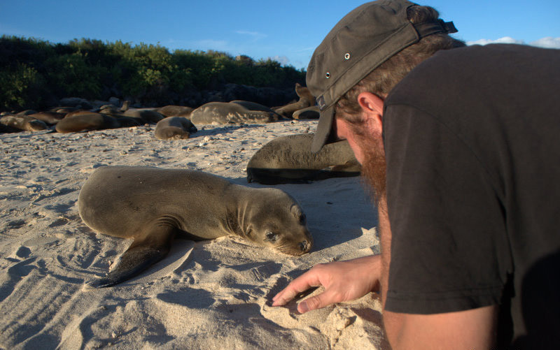 Wyspa Galapagos