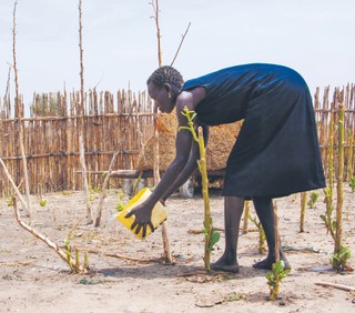 Walka z głodem na świecie. Ryby, wędki i coś jeszcze