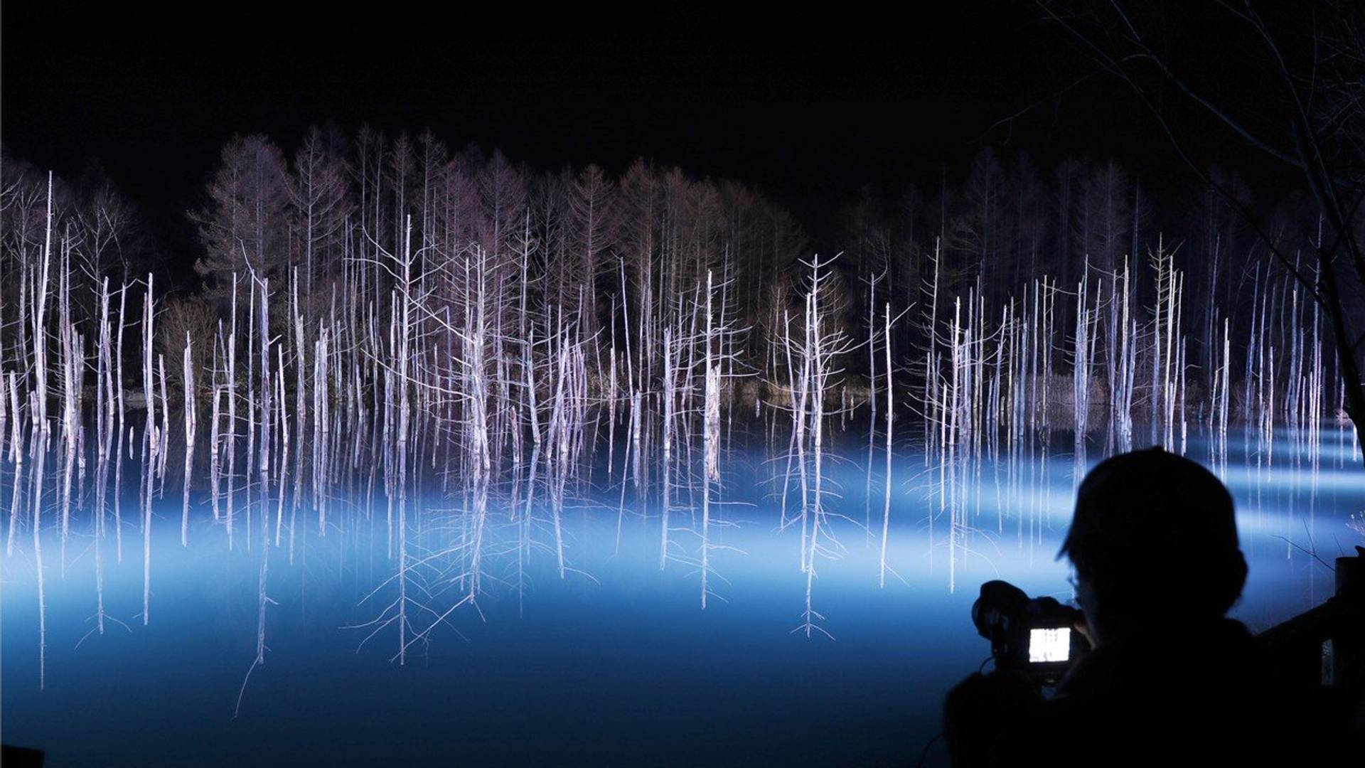 Najbolja National Geographic fotografija 2018. je zadivljujuća - dok ne shvatite šta je na njoj