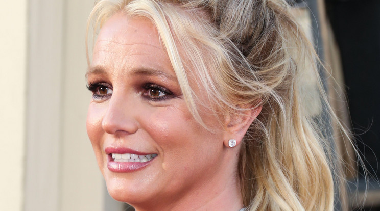 Britney két fia maga mögött hagyná az anyjuk körül kavargó figyelmet/ Fotó: Northfoto