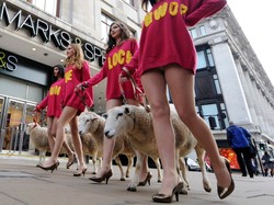 Długonogie modelki i owce na ulicach Londynu. Tak sieciówka promuje wełnę
