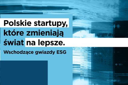 Polskie firmy zmieniające świat. Oto liderzy w kategorii "social"