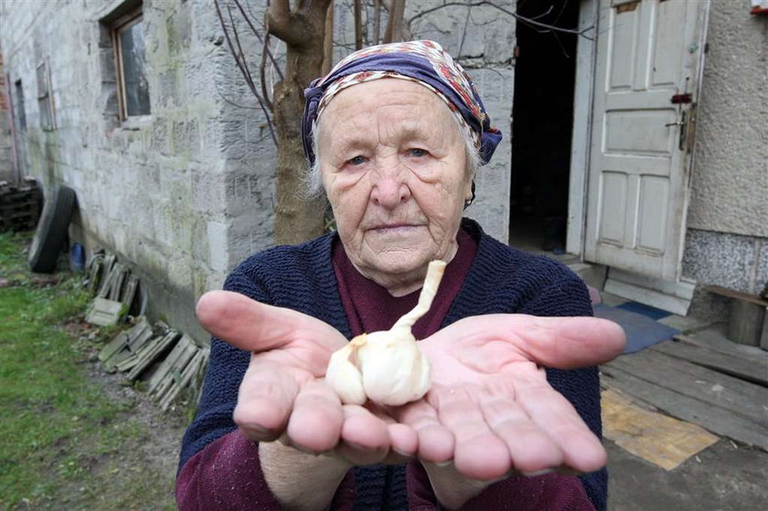 Złodziej ukradł mi cały czosnek na zimę!