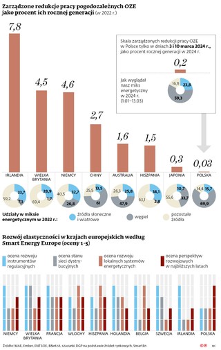 Zarządzone redukcje pracy pogodozależnych OZE jako procent ich rocznej generacji (w 2022 r.)