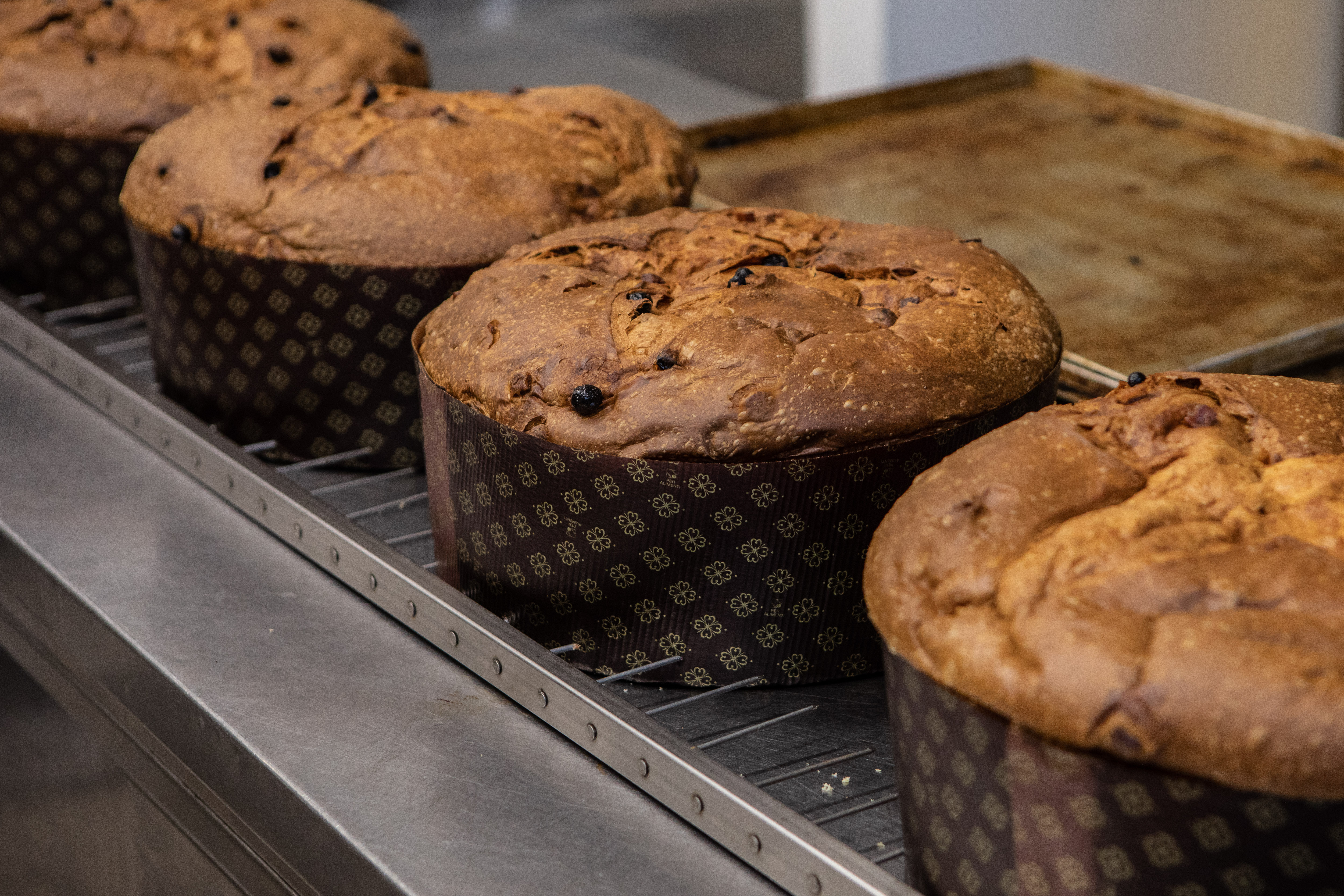 Panettone con oro e insetti: la tradizione italiana verso il punto di non ritorno