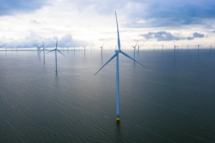 PGE walczy o kolejny obszar na Bałtyku pod budowę farmy wiatrowej