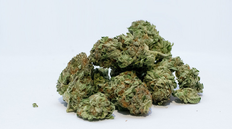 Több mint 220 kilogrammnyi marihuána az autópályán / Illusztráció / Fotó: Pixabay