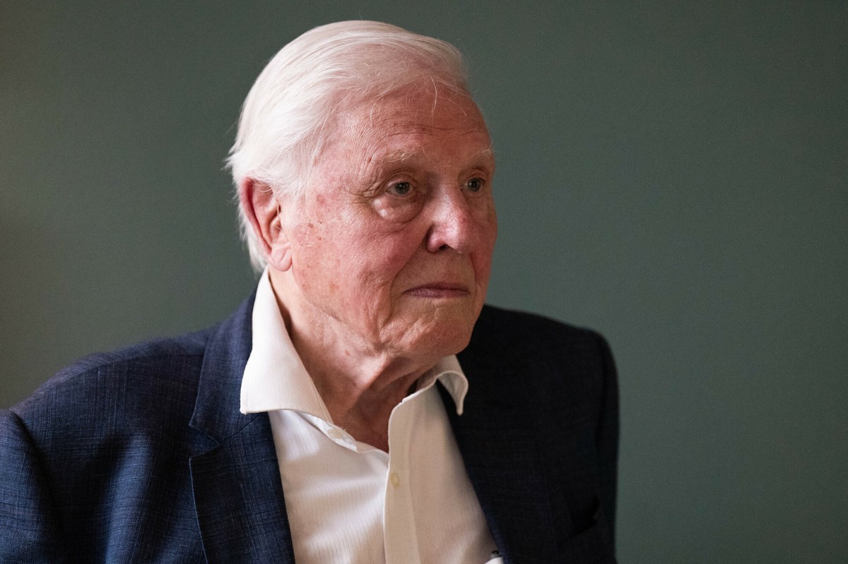 Sir David Attenborough apeluje o wpłaty. Mówi, iż kończy się czas