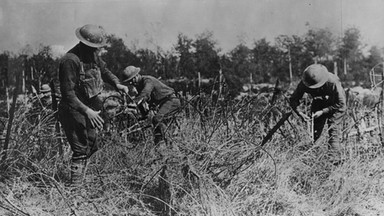 Zatruta ziemia, niewybuchy i kości. Verdun sto lat później [ZDJĘCIA]