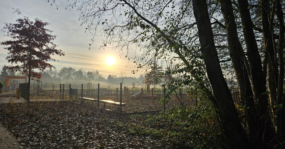 W Ekoparku psy mają raj!