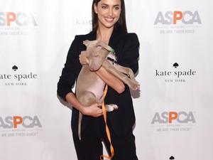 Elolvadsz! Irina Shayk egy hihetetlenül cuki kiskutyával