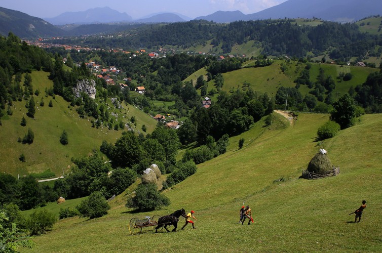 Krajobrazy w wiosce Magura w rumuńskiej Transylwanii