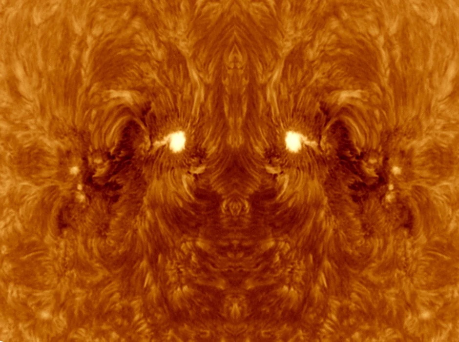 (+) FOTO: Profimedia.rs