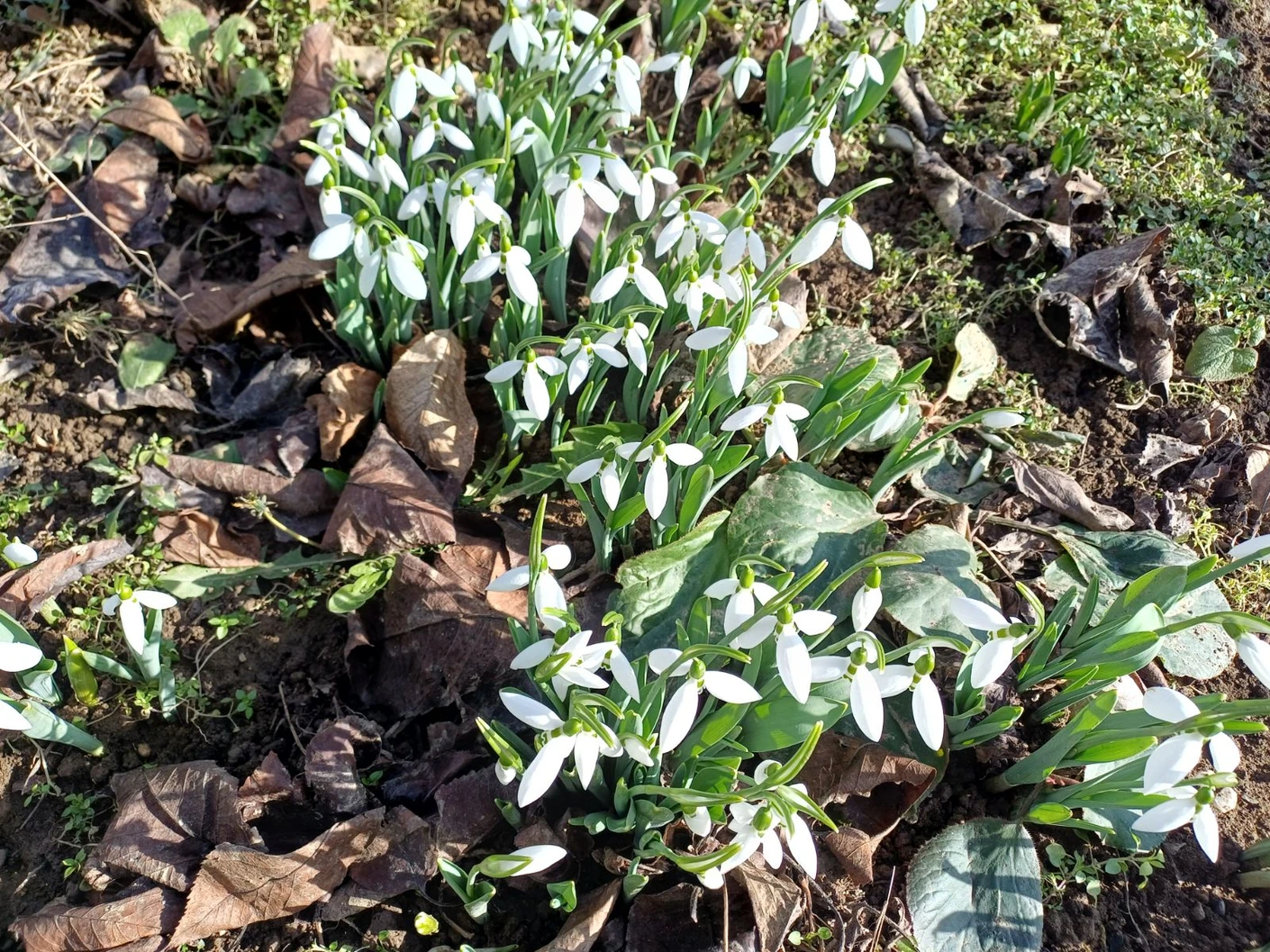 QcCk9kqTURBXy83OWUxOGRlZDZlMWRjMTQ1Y2E1NWYwY2FiMWM0OWU5YS5qcGVnkZMCzQWCAN4AAaEwBQ