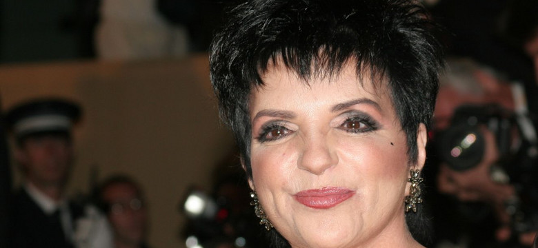 Liza Minnelli wystąpi w serialu