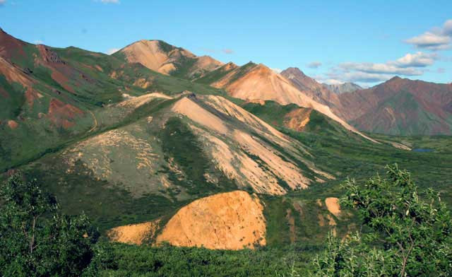 Galeria USA - Park Narodowy Denali, obrazek 4