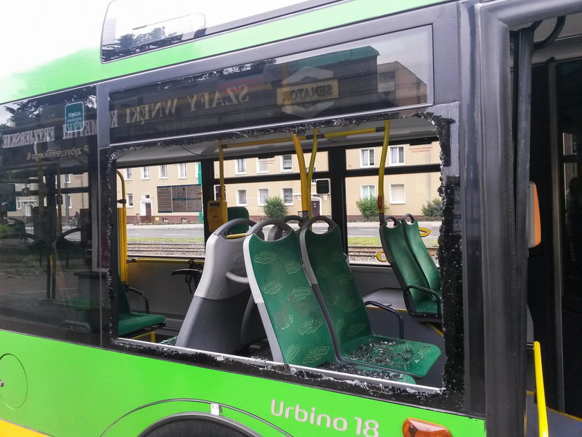 Poznań. Autobus MPK ostrzelany z broni pneumatycznej