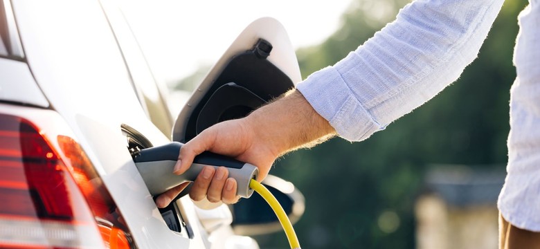 Raport Otomoto: polscy kierowcy chcą kupować używane elektryki, ale rynek na razie świeci pustkami