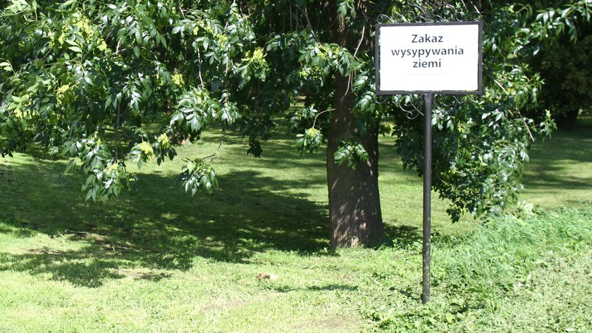 Park Olszynki