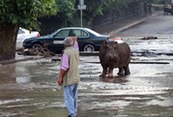 GEORGIA FLOOD