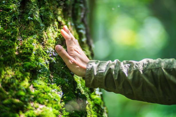 Kontakt z naturą może być jednym ze sposobów na długowieczność