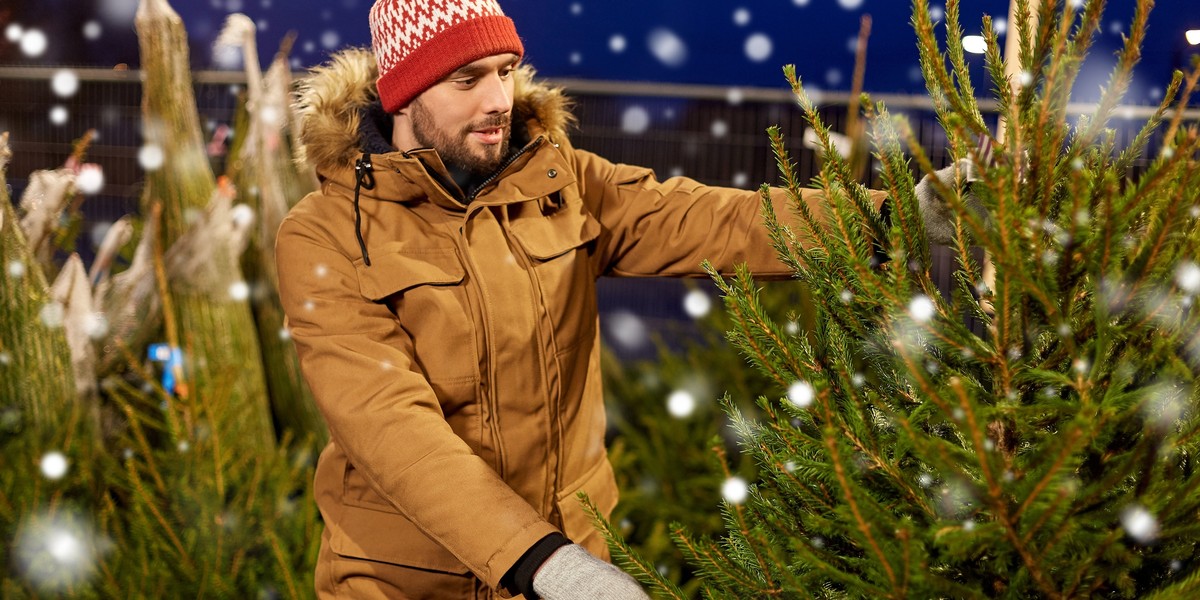 young man chooses a Christmas tree on the market