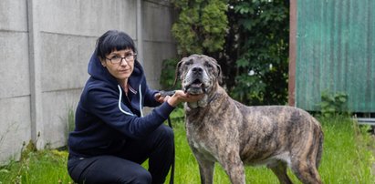 Łódzkie schronisko zasypane prośbami o adopcje