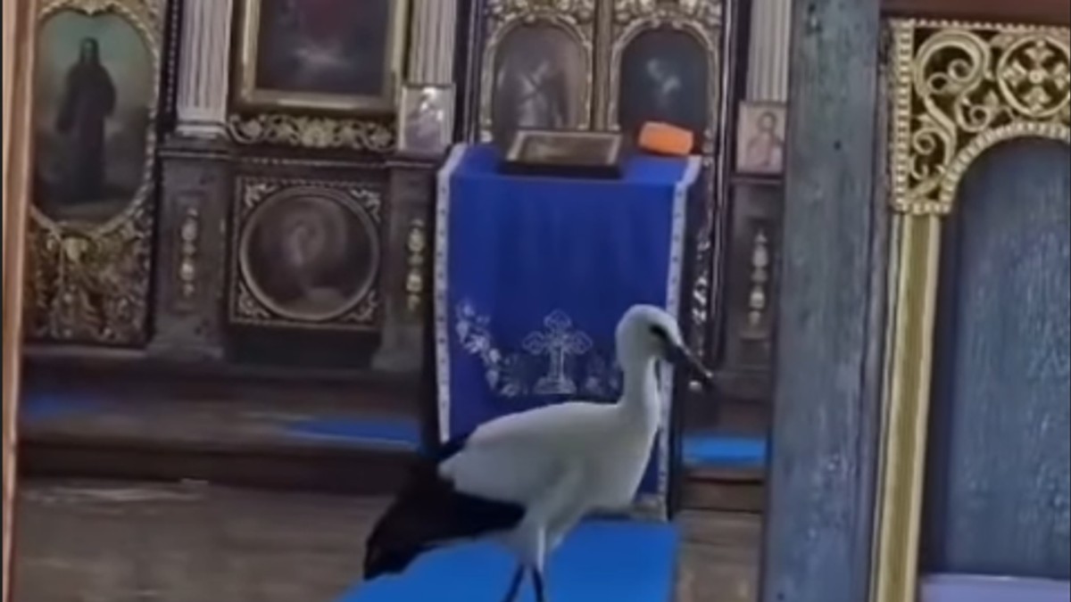Roda ušla u hram u Idvoru