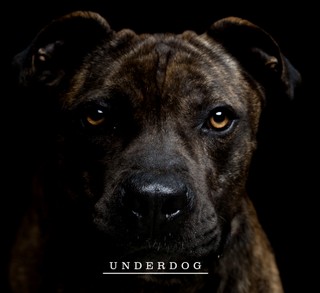 WNDKR 'Underdog' - recenzja